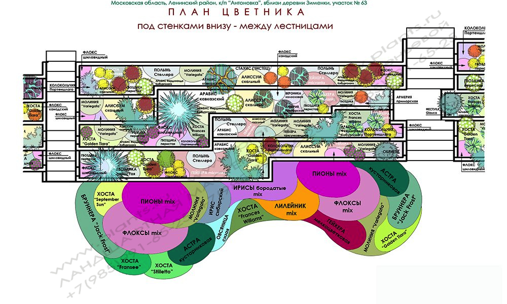 Проект дачного участка - план цветника